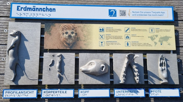 Tastmodell aus dem Tierpark Bochum